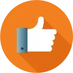 alternative to oem support